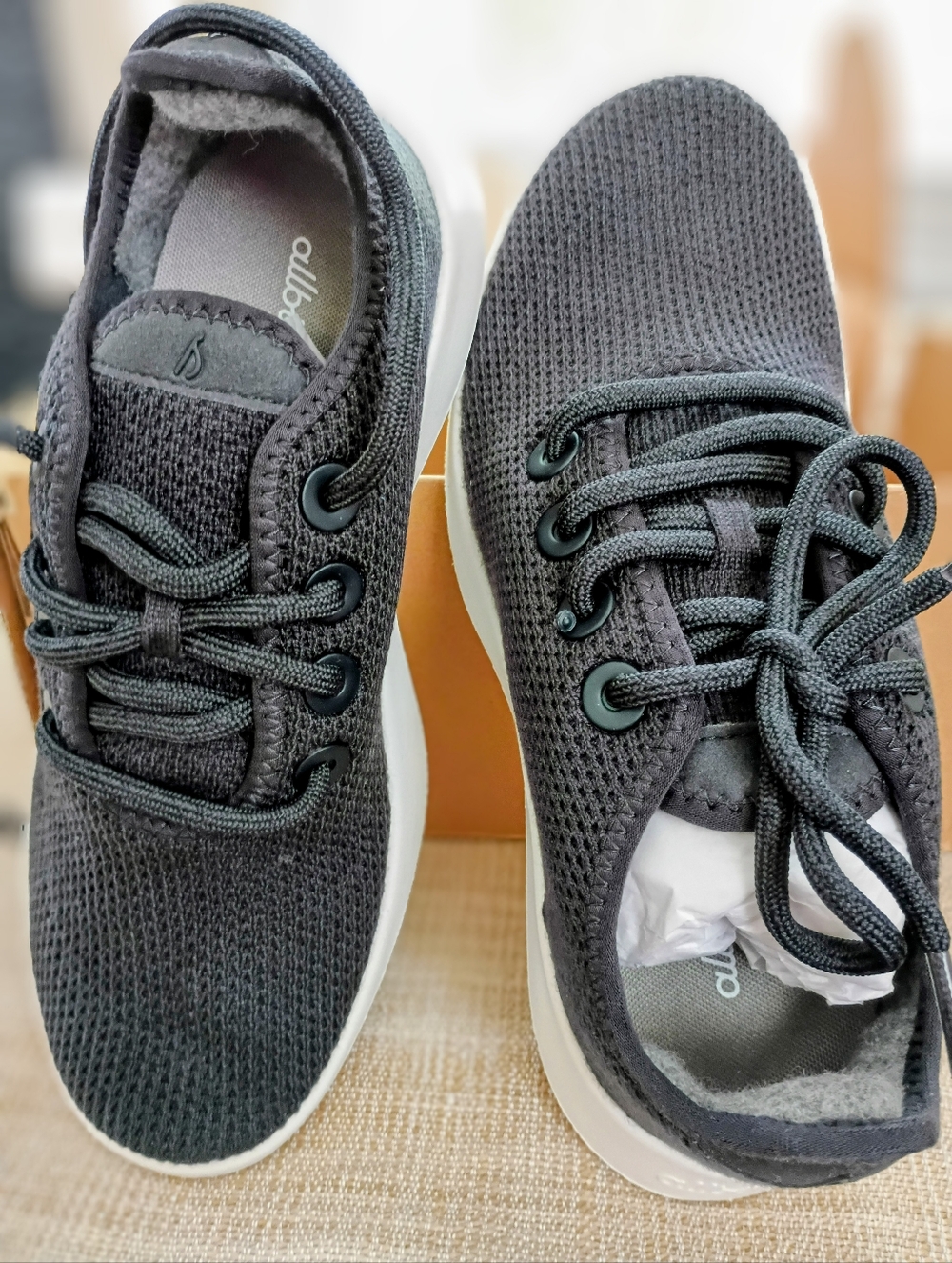 Woman's allbirds Tree Runner NZ